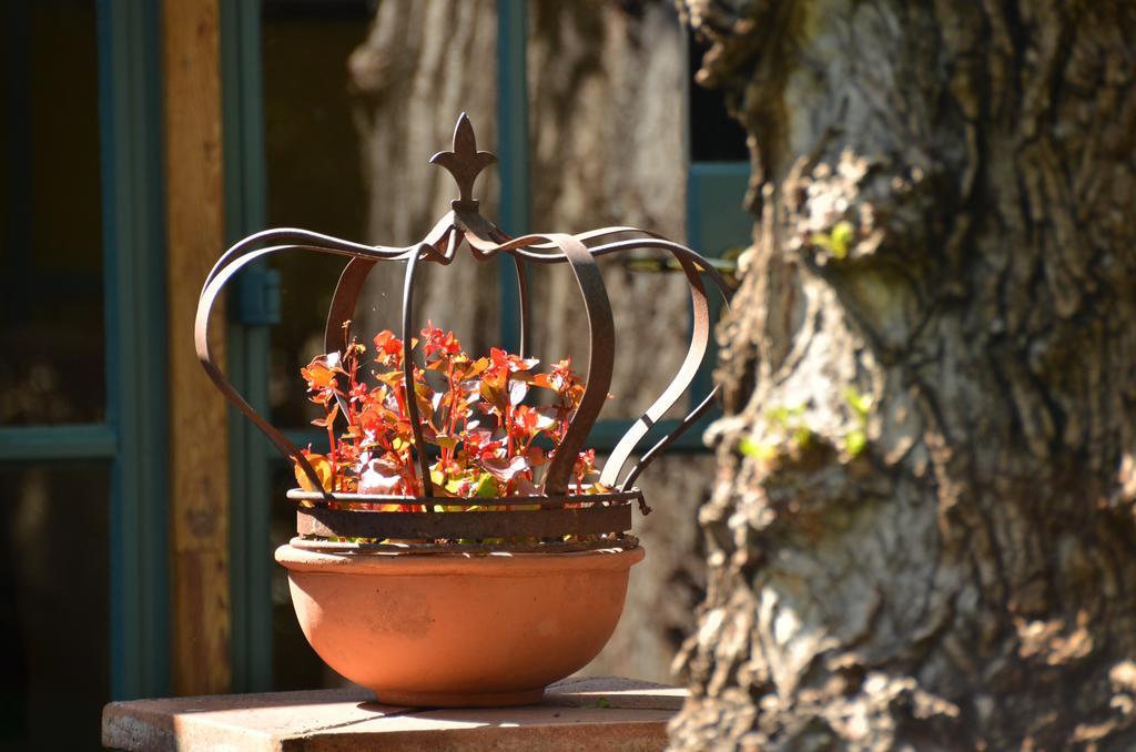 De Hoek Country Hotel Magaliesburg Extérieur photo